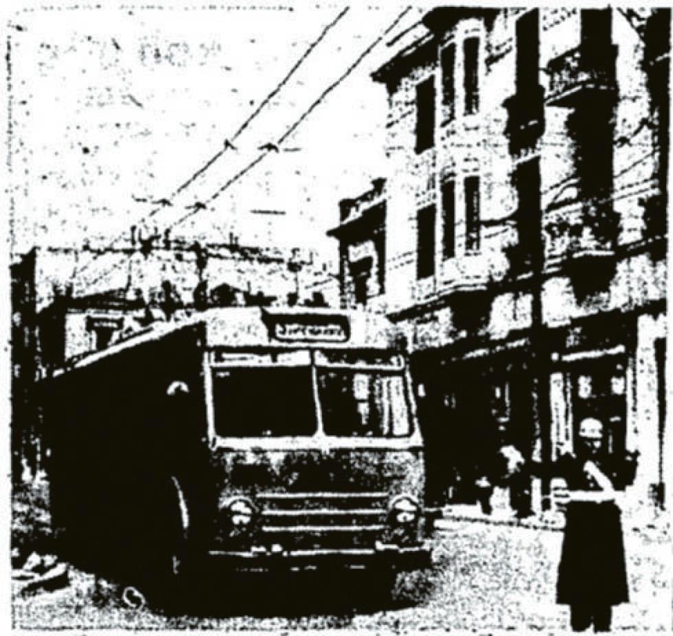 5343545747901964 image