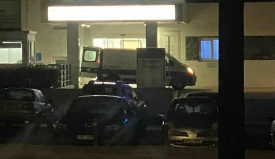 5344225378955603 image