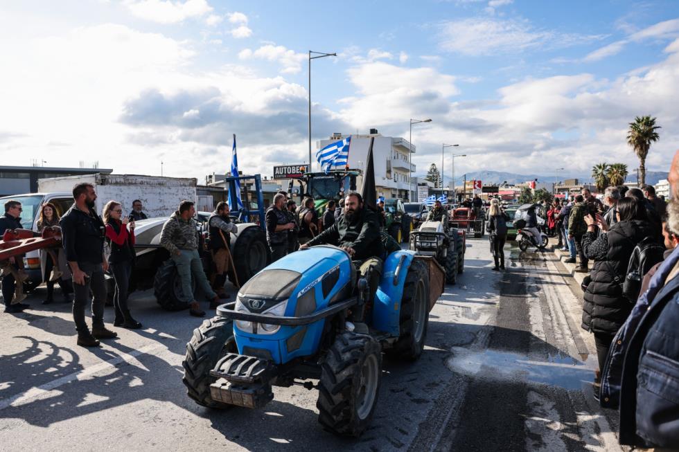 5344378411126427 image