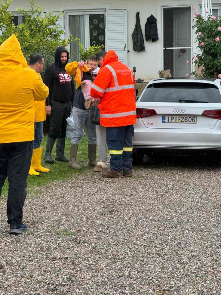 5344469786384049 image