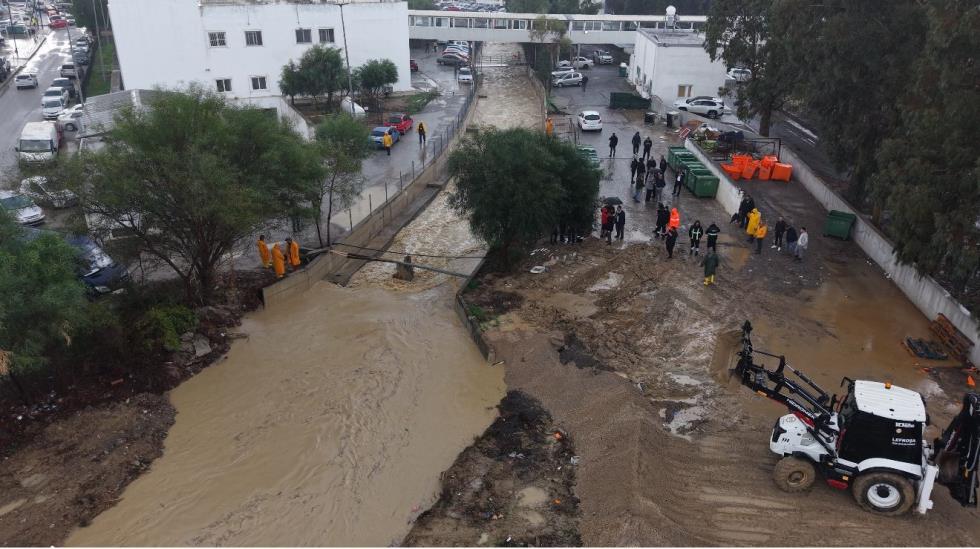 5345190014560989 597835976 1715978479697657 2717129793740627851 n