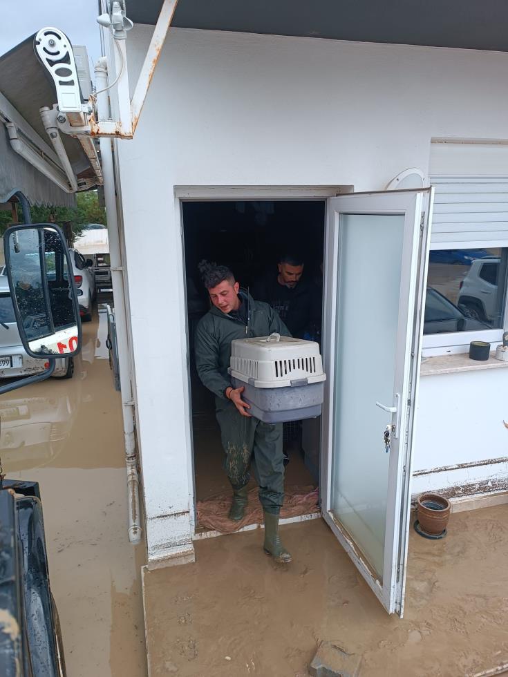 5345190057685574 596808981 1715975589697946 7527933381713643964 n