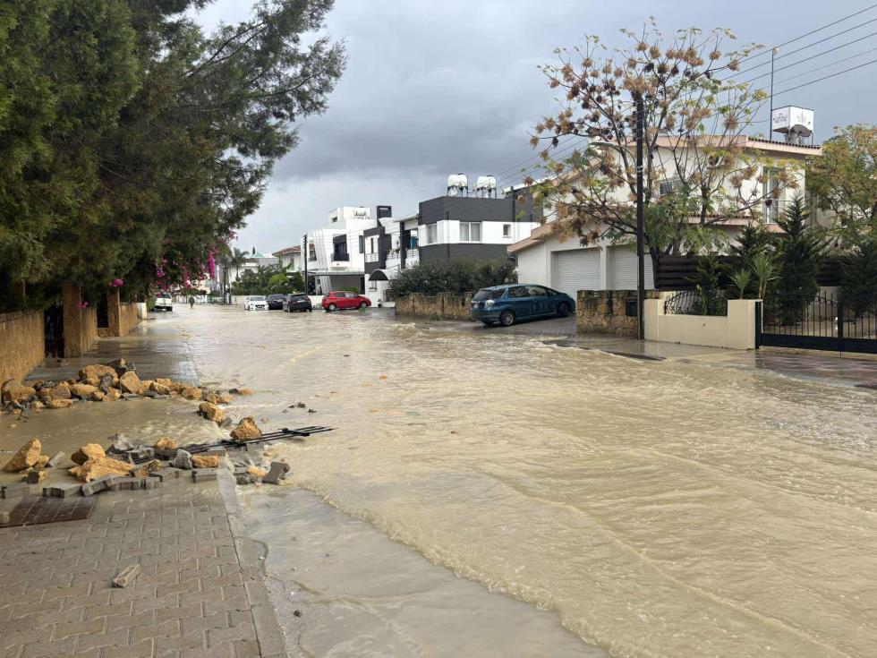 5345190139403686 597226393 1715955429699962 7349636186850988870 n