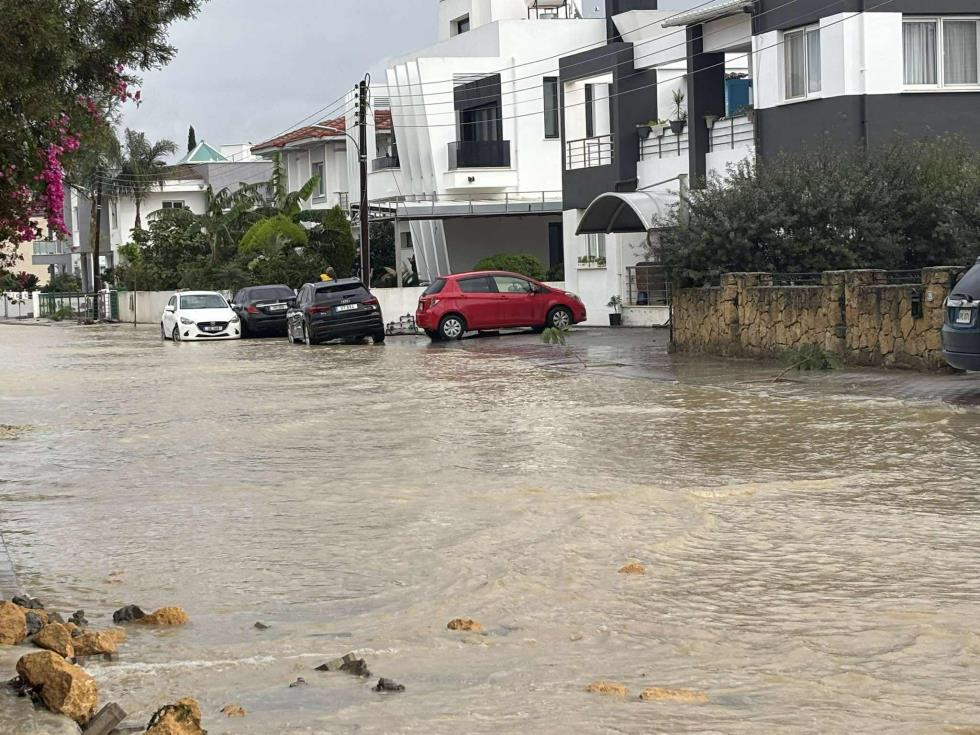 5345190157684811 597511744 1715955426366629 7791278200126247301 n