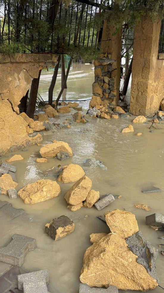 5345190174872132 597080975 1715955456366626 2904978557730338362 n