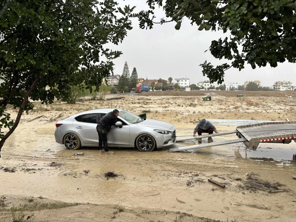 5345290353984535 image