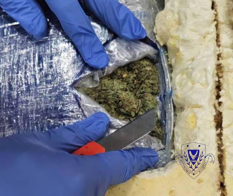 5345337731802193 image