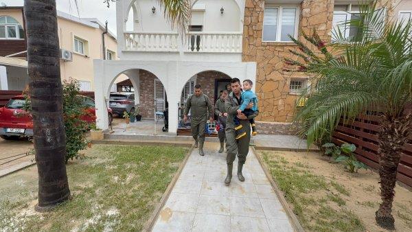 5345342830081618 image