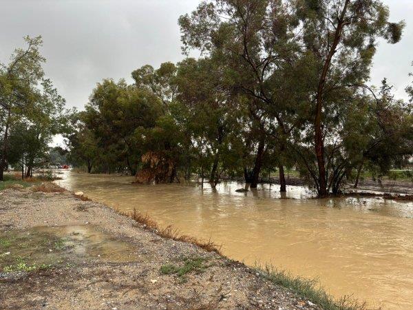 5345342990203180 image