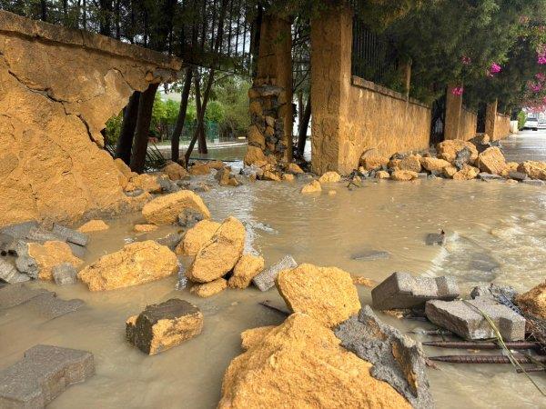 5345343066105020 image