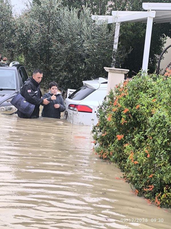 5345343137575194 image