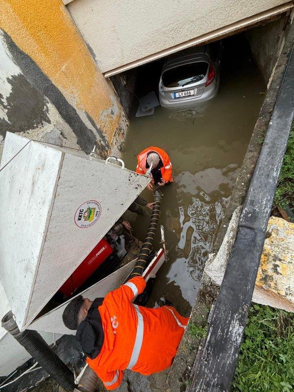 5345366625626494 image