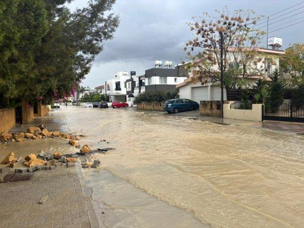 5345366896344762 image