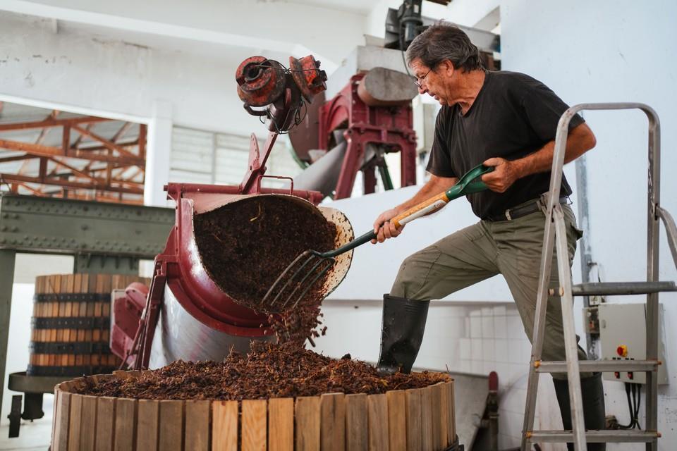 5345992729271210 image