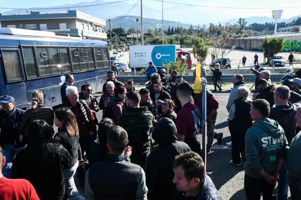 5346111546602050 image