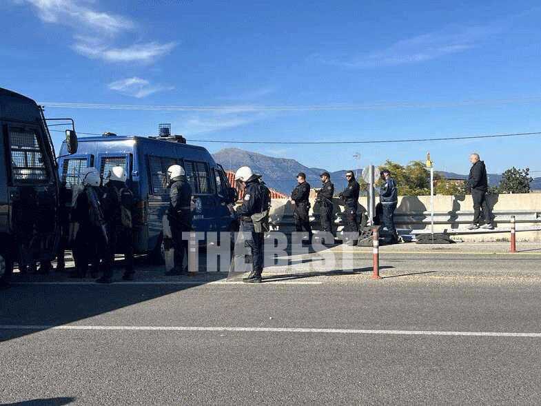 5346111813019342 image