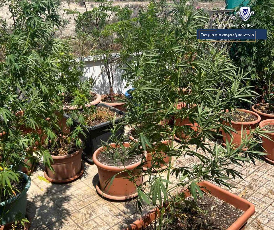 5346135143929750 3-2