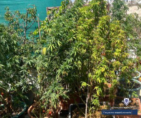 5346135220468186 2-1-450x377