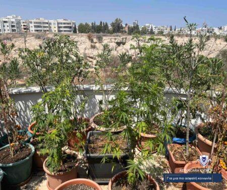 5346135323244670 1-2-450x377