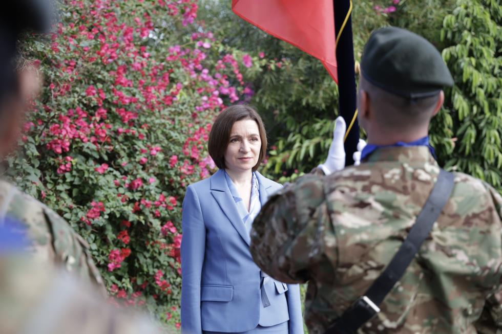 5347695282137273 image