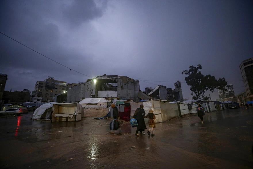 5348064031074212 image