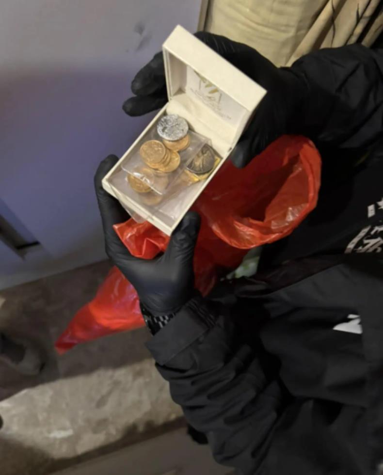 5348648744419845 image