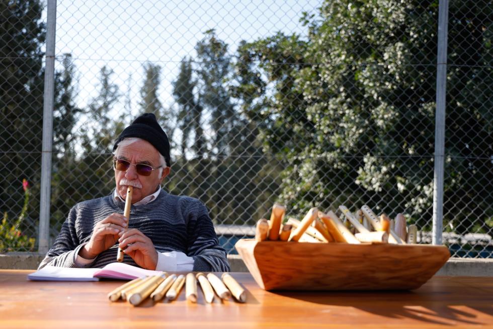 5348687820353875 image