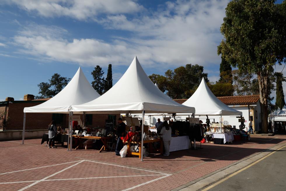 5348688404498585 image