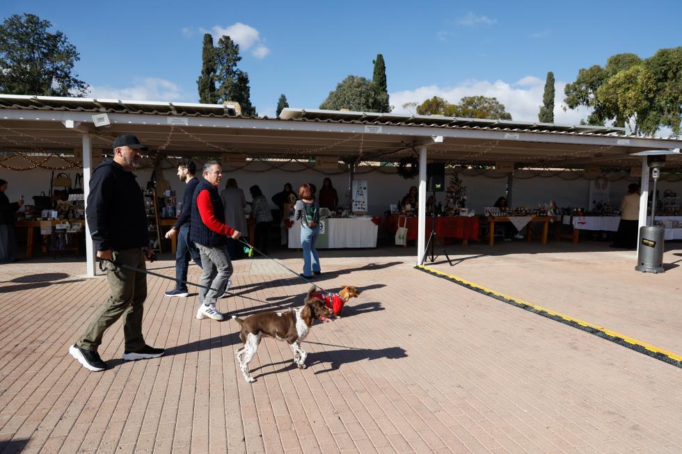 5348689013795385 image