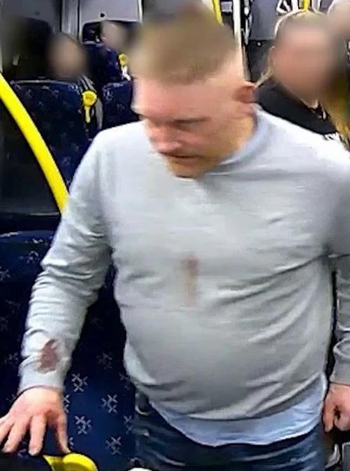 5348900357897139 image