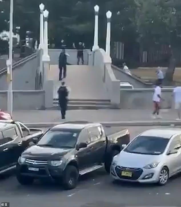 5350428748491875 image