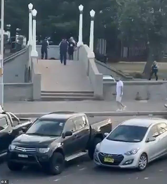 5350428832084880 image