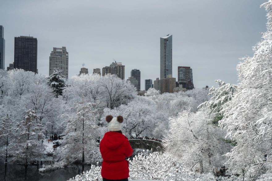 5350617055084923 image