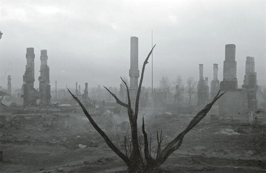 5351932572728759 image