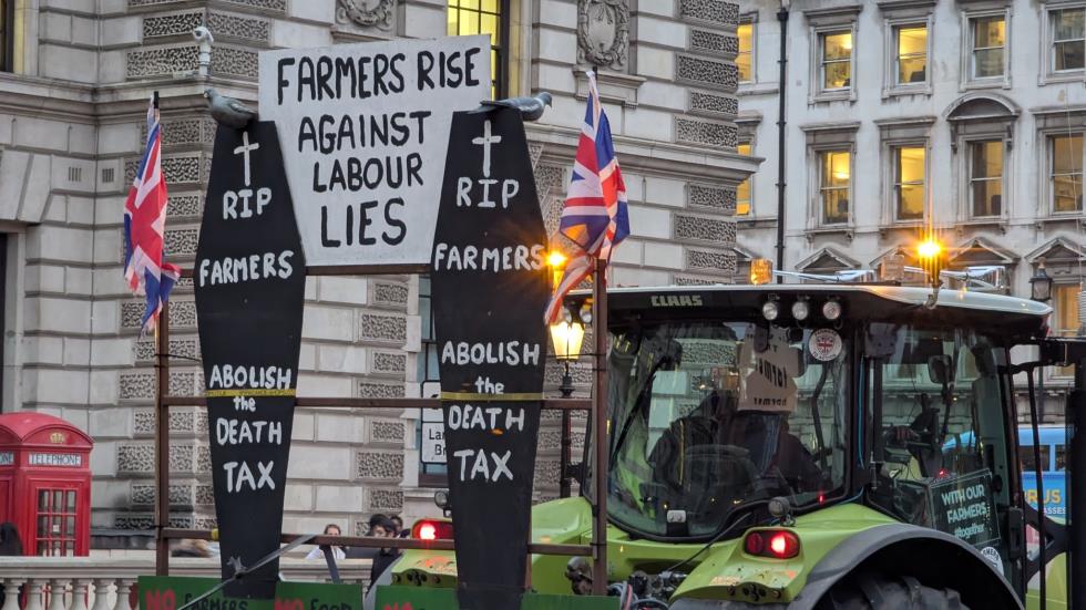 5352047015875864 image