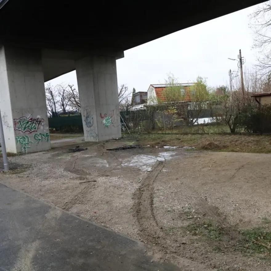 5352081167634073 image