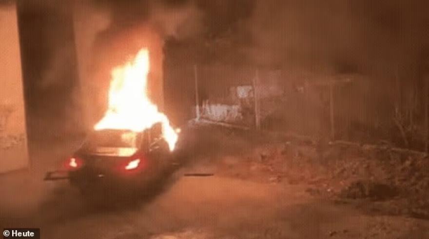 5352081281695183 image