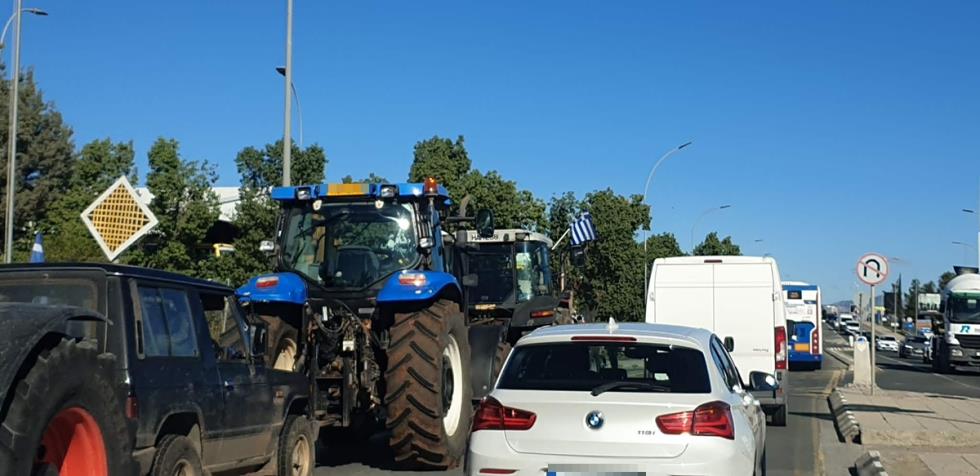 5352872419606230 cats