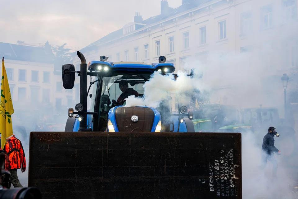 5353059349036181 image