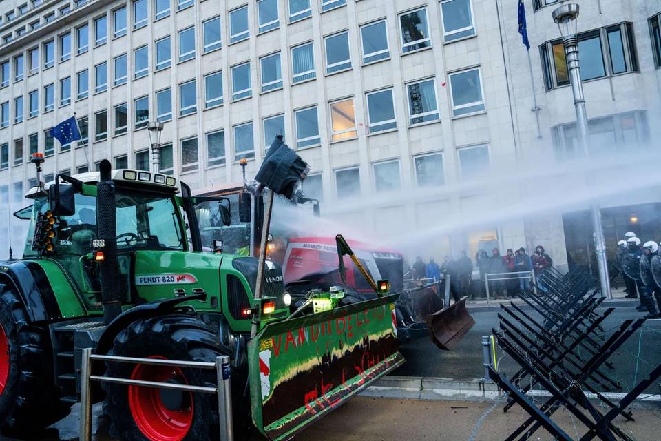 5353059805062865 image