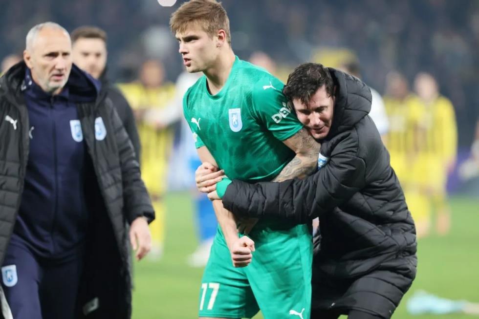 5353626802830965 image