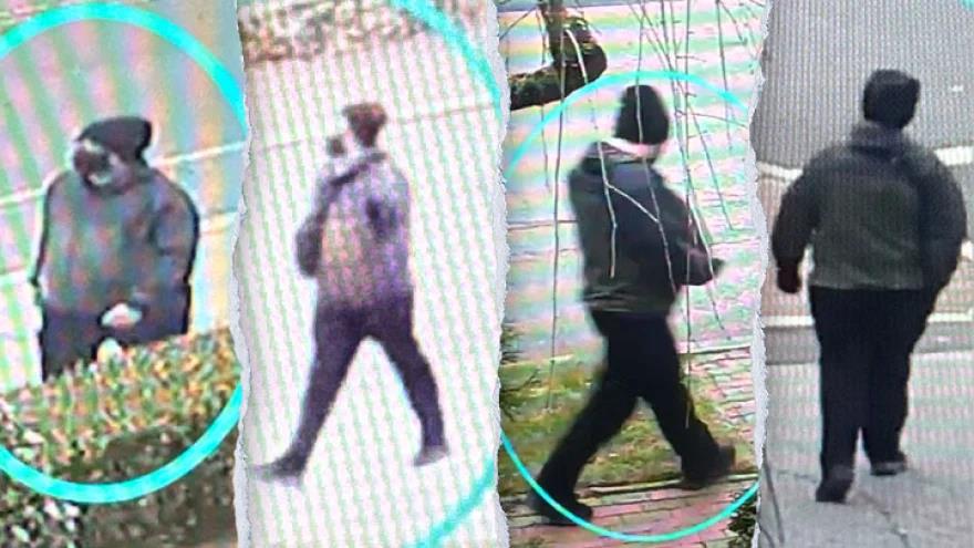 5353667223774485 image