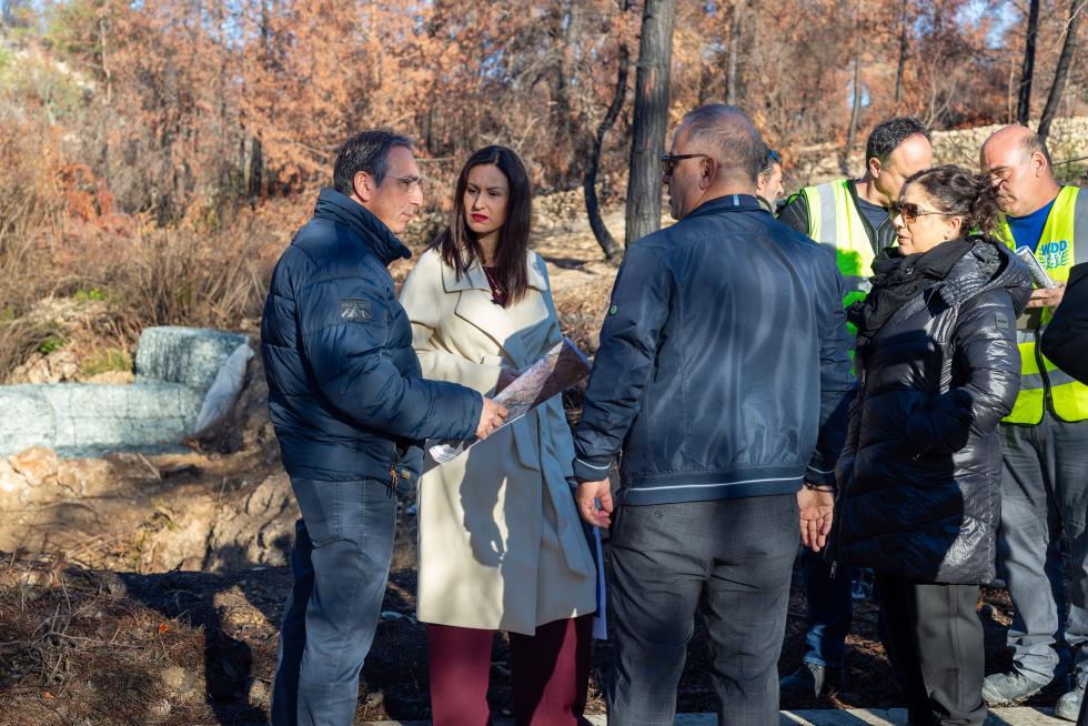 5353823908791061 DOC.20251219.9562598.ypgeorgias-(2)