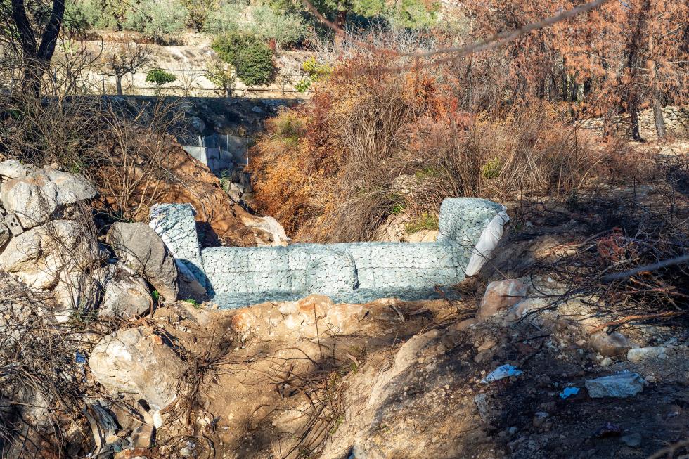 5353823955978483 DOC.20251219.9562600.ypgeorgias