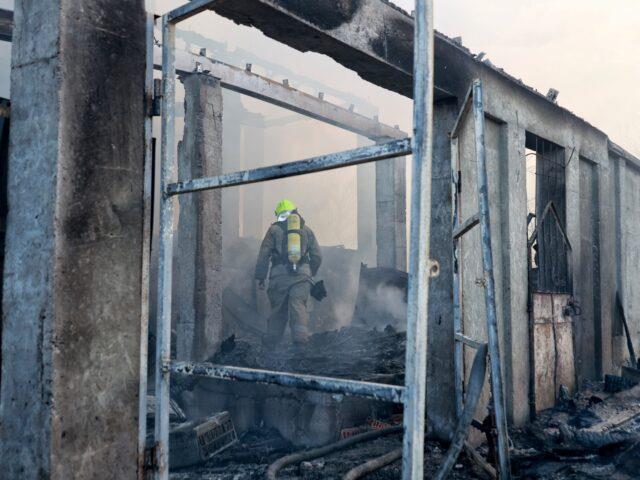 5354914979700378 image