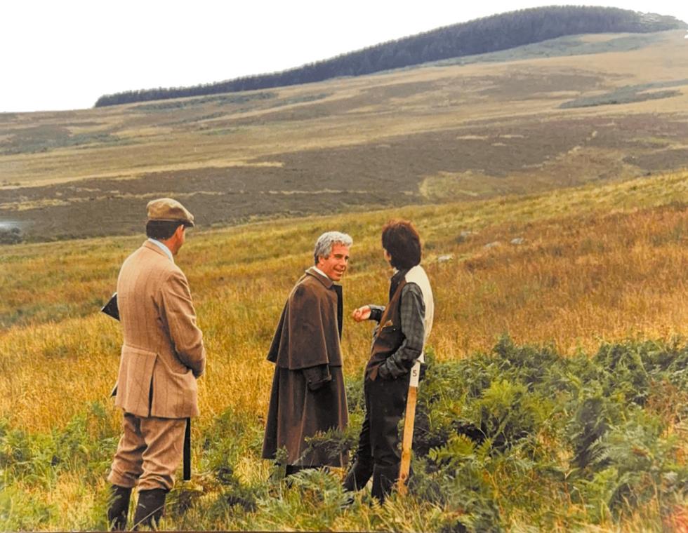 5355529046133677 image