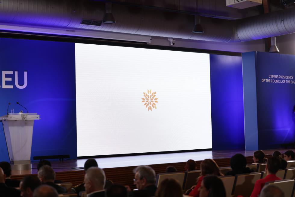 5355531779637508 image