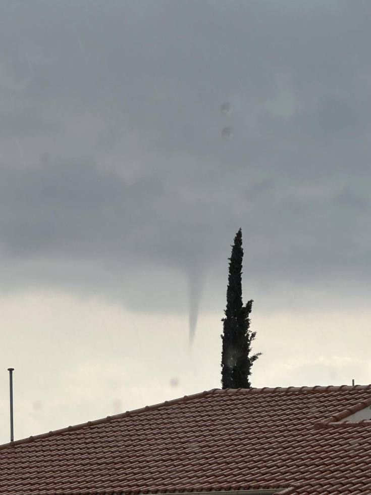 5355634476312355 image