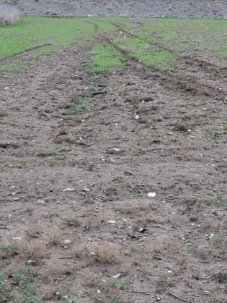 5356390038449662 image