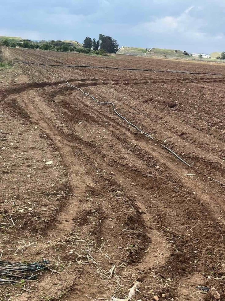 5356390107428322 image